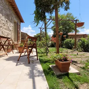 Poggio La Lodola , Massa Marittima Italia